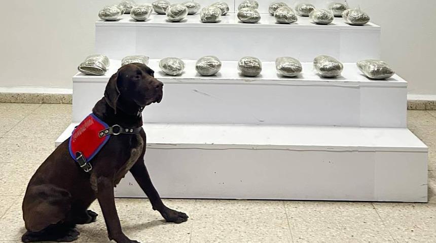 Van'da 10 kilo 111 gram esrar ele ge&ccedil;irildi