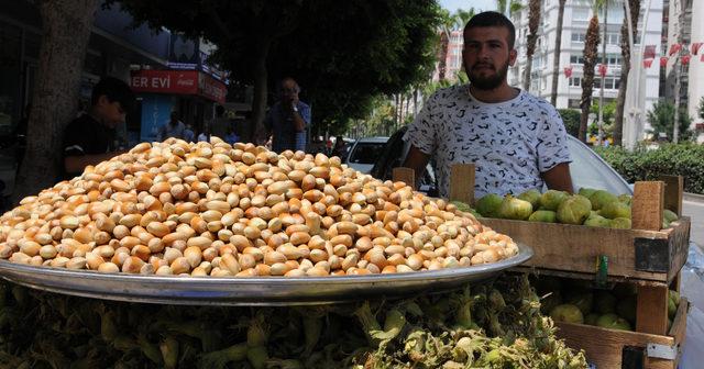 Adana'da yaş fındık 30 lira