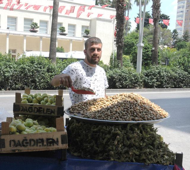 Adana'da yaş fındık 30 lira