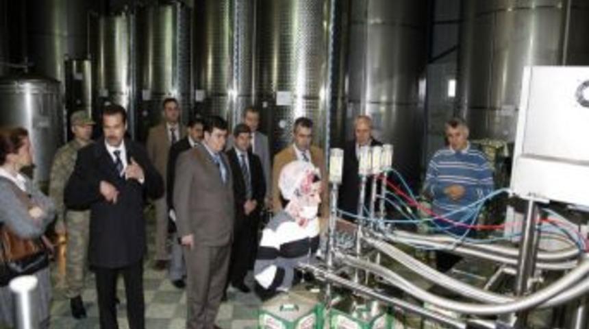 "Hatay'ın tarımdan elde ettiği katma değer arttı"