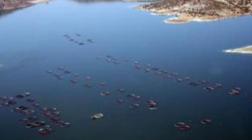 Kayseri, alabalık &uuml;retiminde ilk &uuml;&ccedil; il arasında