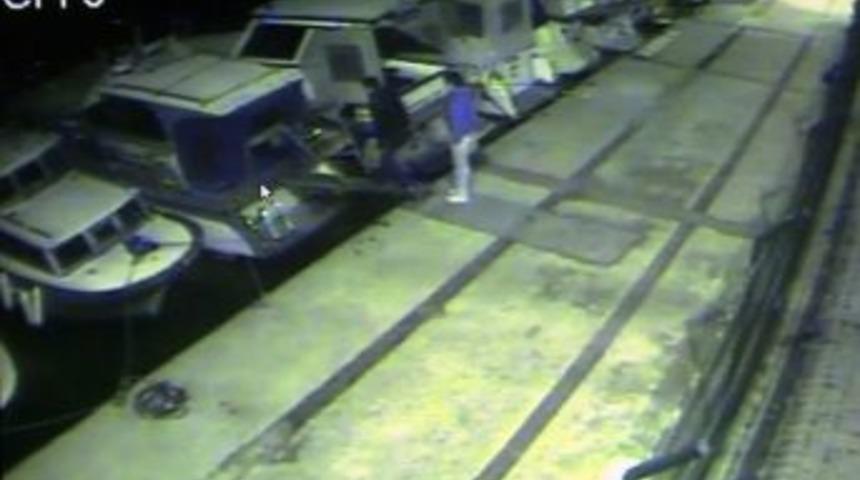 L&uuml;ks yat fareleri, g&uuml;venlik kamerasına yakalandı