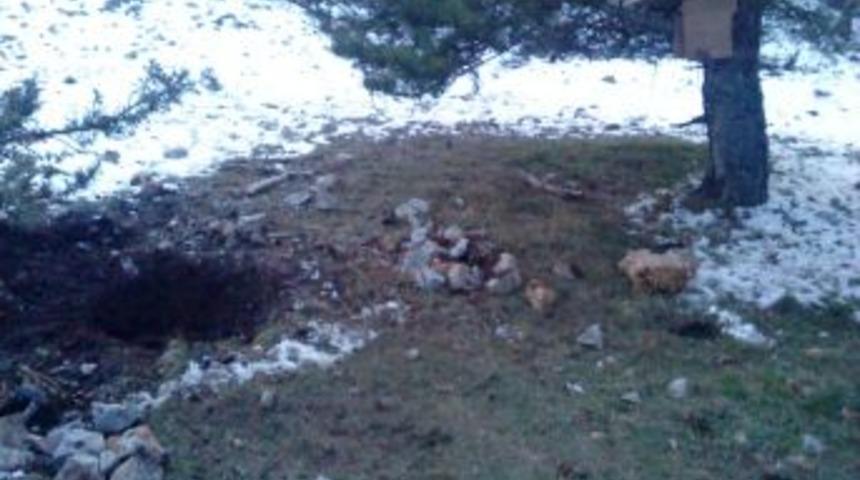 Bursa&rsquo;da ka&ccedil;ak kazı yapan 5 kişi su&ccedil;&uuml;st&uuml; yakalandı