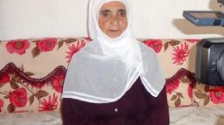 K&uuml;rt&ccedil;e tarih belgeseli Almanya&rsquo;da