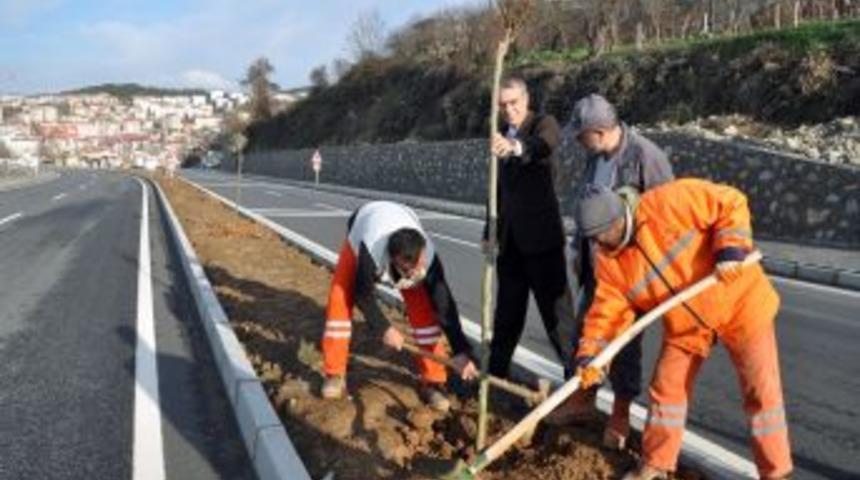 Karayolu g&uuml;zergahı ağa&ccedil;landırılıyor