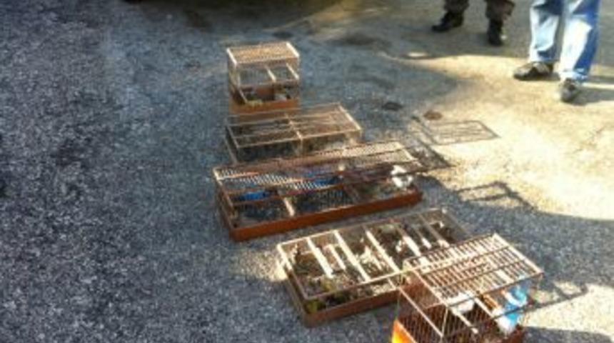 Yakaladığı 33 kuş i&ccedil;in 11 bin 592 lira ceza &ouml;dedi