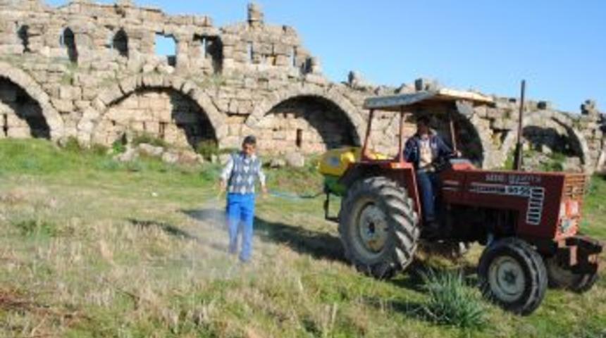 Side Antik Kent'te zararlı ot ila&ccedil;lama &ccedil;alışması tamamlandı