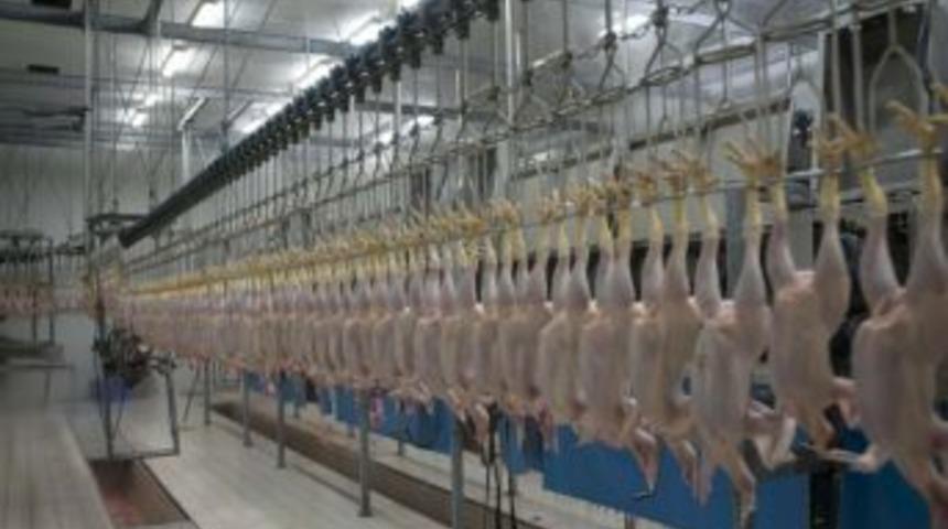 K&ouml;y-T&uuml;r&rsquo;den m&uuml;şterilerine helal kesim sertifikalı et