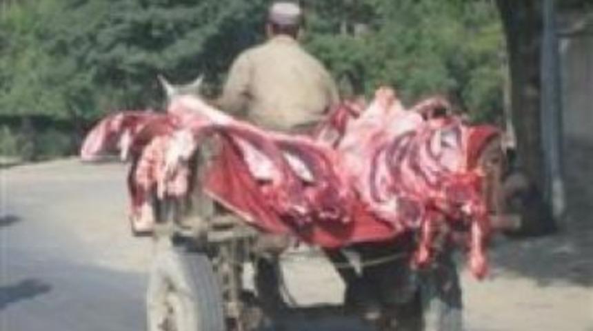 Urfa'da 600 kilo ka&ccedil;ak et imha edildi