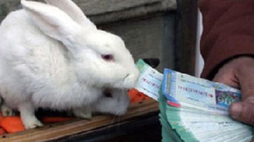 Dev ikramiyenin ikinci talihlisi belli oldu