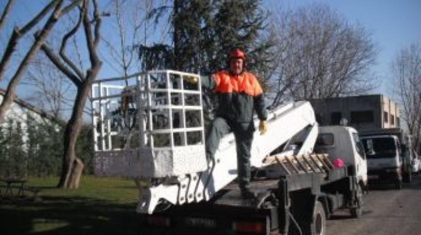 Tarihi &ccedil;ınarlara kışlık bakım yapılıyor