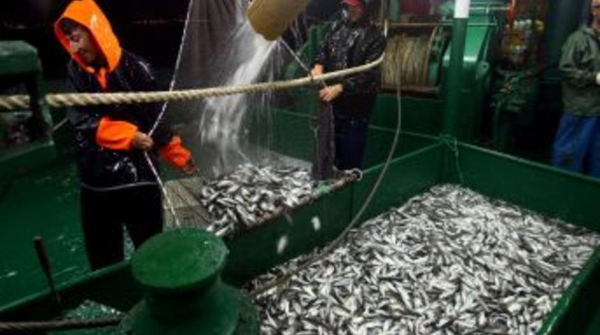 Ereğli&rsquo;de bağcılık yeniden canlanıyor