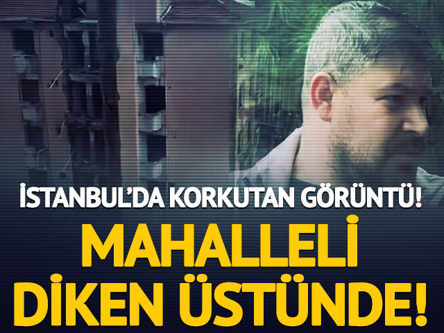 Sultangazi'de korkutan g&ouml;r&uuml;nt&uuml;! Mahalleli diken &uuml;st&uuml;nde