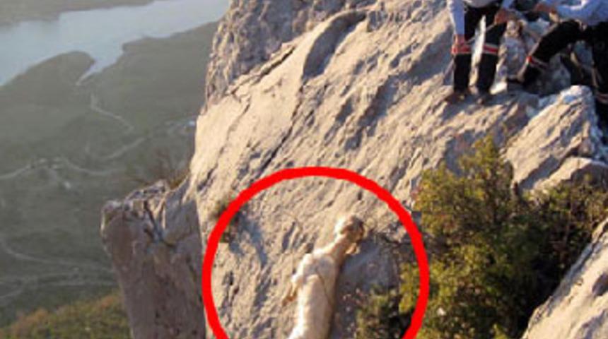 İtfaiyeden nefes kesen kurtarma operasyonu