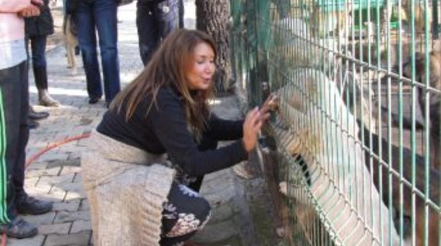 Tuzla'da doğal yaşam parkı sahipsiz hayvanların sıcak yuvası oldu