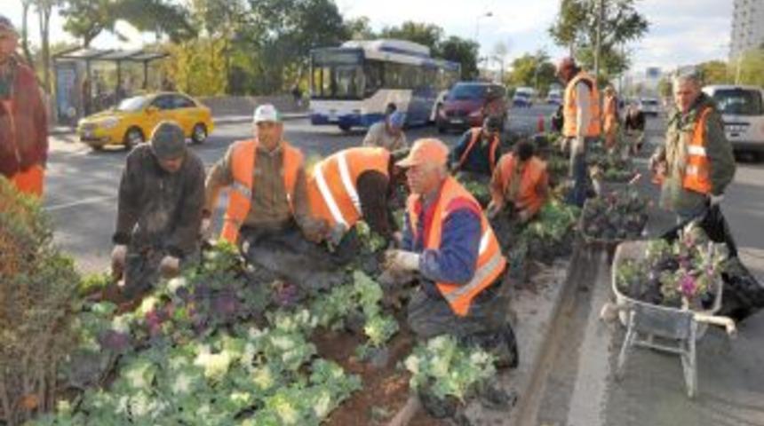 Başkent caddeleri kış &ccedil;i&ccedil;ekleriyle donatılıyor