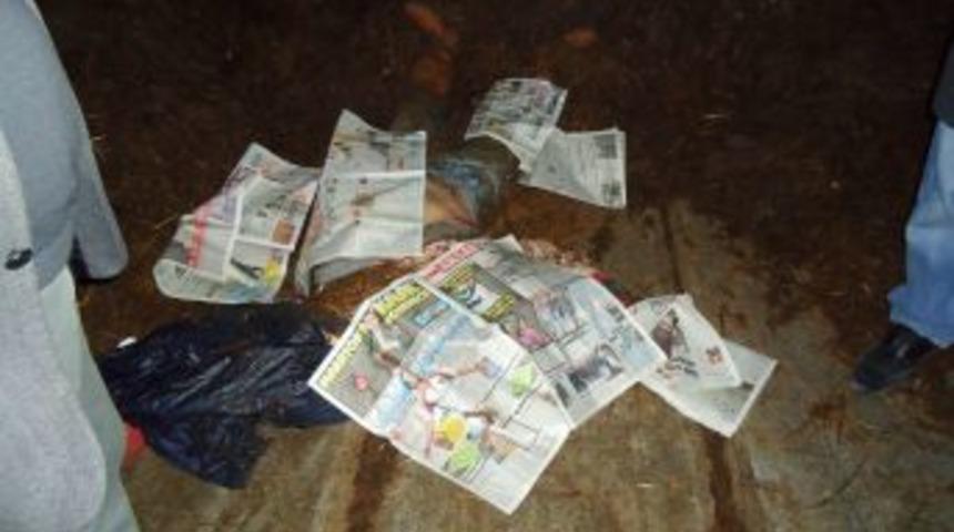 İş makinesinin altında kalan kişi &ouml;ld&uuml;