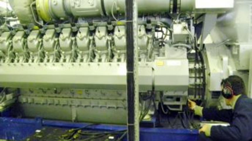 Saray Halı Fabrikası ve çiftliği kendi elektriğini üretiyor