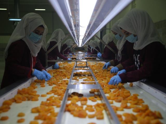 Malatya kayısısından 2 ayda 46 milyon dolarlık ihracat