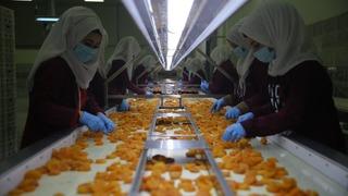 Malatya kayısısından 2 ayda 46 milyon dolarlık ihracat