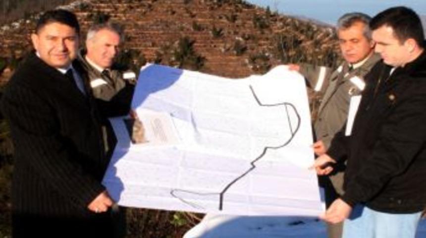 Kaya: Giresun'da arıcılık i&ccedil;in 4 bal ormanı daha kuracağız