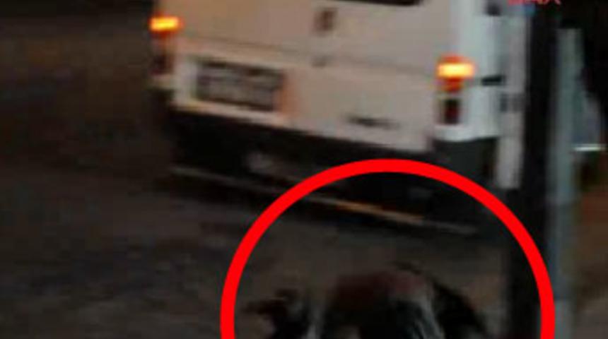 Tacizciyi bir yumrukta b&ouml;yle yere serdi