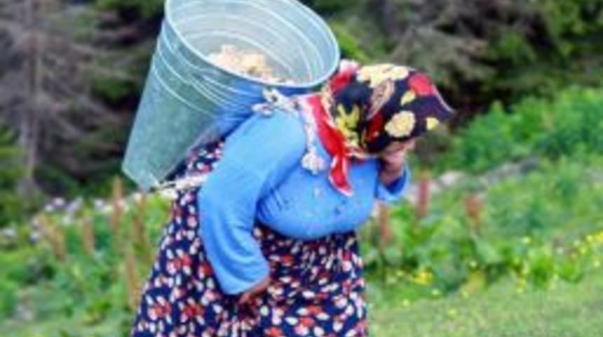 Karadeniz&rsquo;in coğrafi yapısı fiziki hastalıkları tetikliyor