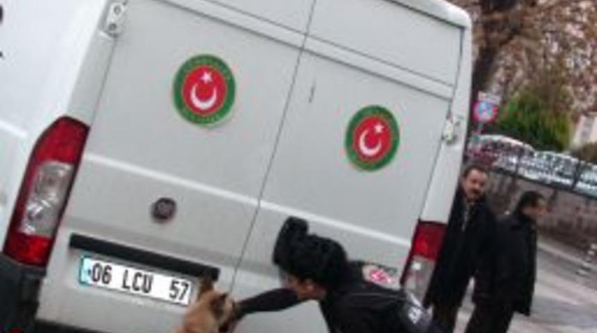 Dedekt&ouml;r k&ouml;pekler sınır kapılarında ka&ccedil;ak&ccedil;ılara ge&ccedil;it vermeyecek