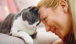 Kedi sahiplenmek i&ccedil;in 7 bilimsel neden