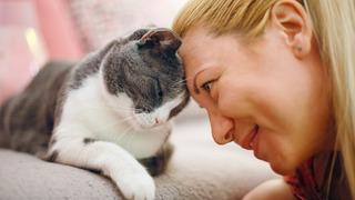 Kedi sahiplenmek için 7 bilimsel neden: Ruh sağlığından kalp sağlığına kadar etkili