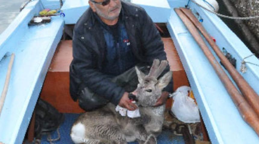 Denizden karaca &ccedil;ıktı