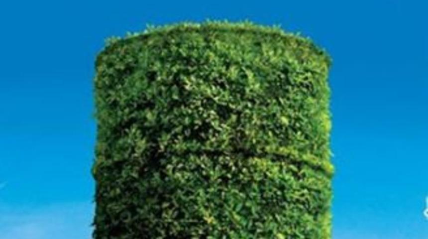 Bir varil bir ağa&ccedil; projesi