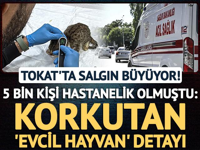 5 bin kişi hastanelik olmuştu: Korkutan 'evcil hayvan' detayı