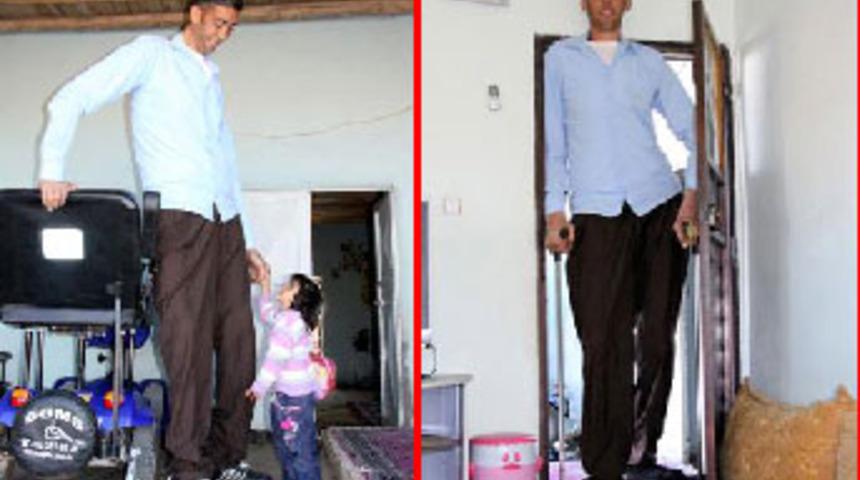 Sultan'ın boyu 2 metre 51 santim oldu