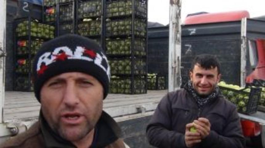 Yeni Hal Yasası y&uuml;r&uuml;rl&uuml;ğe girdi