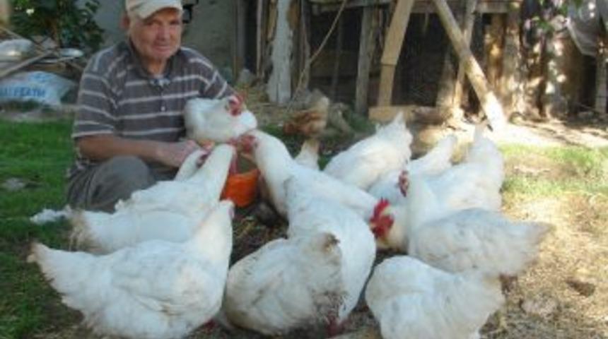 Yerleşik yabancıların k&ouml;y yumurtasının fiyatını 75 kuruşa &ccedil;ıkardı