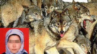 Kurtların kaçırdığı öne sürülen kadın bulundu