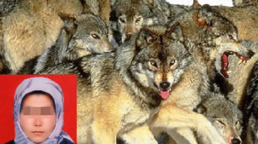 Kurtların kaçırdığı öne sürülen kadın bulundu