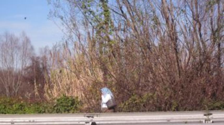 &Ccedil;ınarsuyu&rsquo;nda hayat kadınları otobanı mesken tuttu