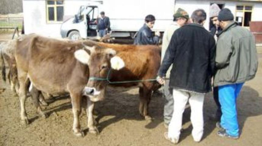 "Pasaportsuz hayvan alım satım ve nakli yapmayalım"