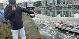 Palamut bolluğu çileye döndü: Ağır koku vatandaşları canından bezdirdi!