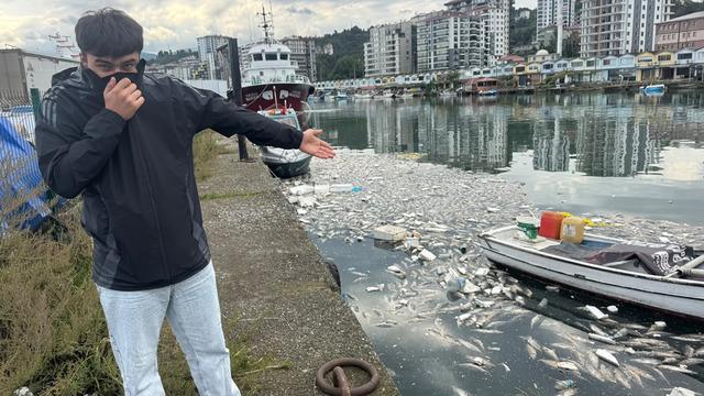 Palamut bolluğu çileye döndü: Ağır koku vatandaşları canından bezdirdi!