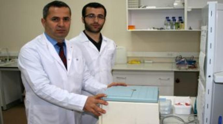 &Ccedil;ocukların &ouml;z&uuml;rl&uuml; doğmasına neden olan yeni bir gen bulundu