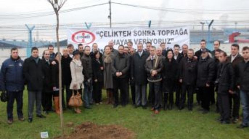 Gazeteciler fidan dikti