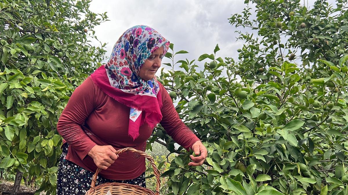 400 bin takipçisi var! Çiftçi fenomen 1,4 milyon TL’yi ne yapacağını açıkladı 3