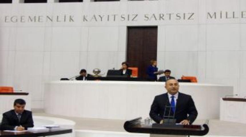 &Ccedil;avuşoğlu: Avrupa Konseyi'nin izlediği konuların başında anayasa reformu var