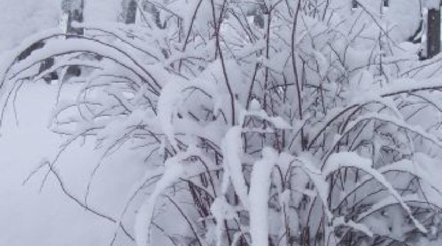 Kar etkisi g&ouml;stermeye başladı