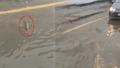 �iddetli ya����n vurdu�u �stanbul'da ilgin� g�r�nt�! Bir s�r�c� trafikte bal��a yol verdi