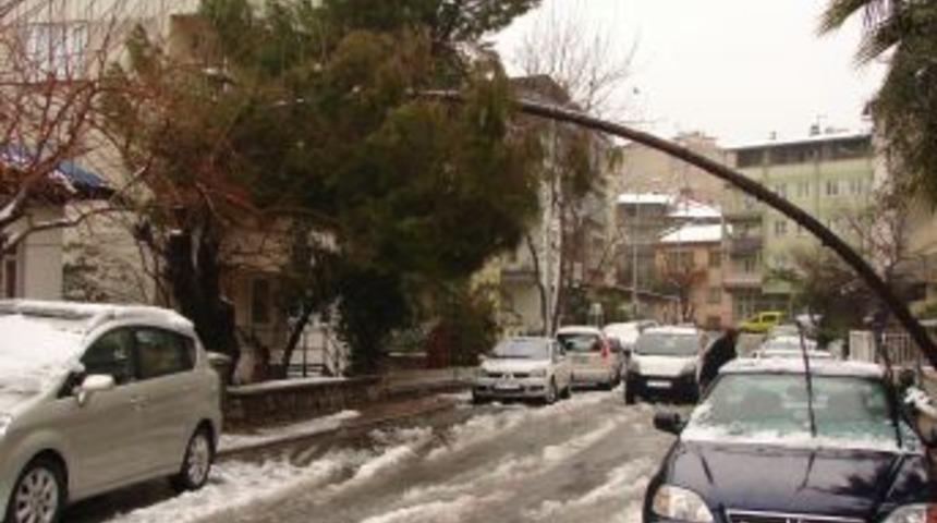 Denizli&rsquo;de kar ağa&ccedil;ları devirdi