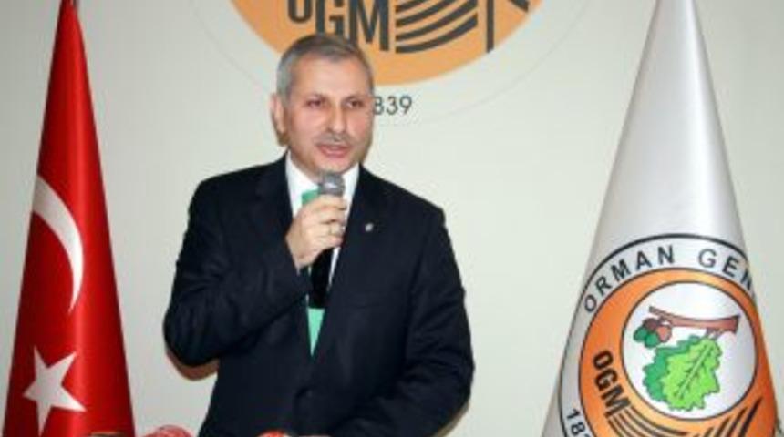 Bursa ormanları, yılda y&uuml;zde 40 b&uuml;y&uuml;yor